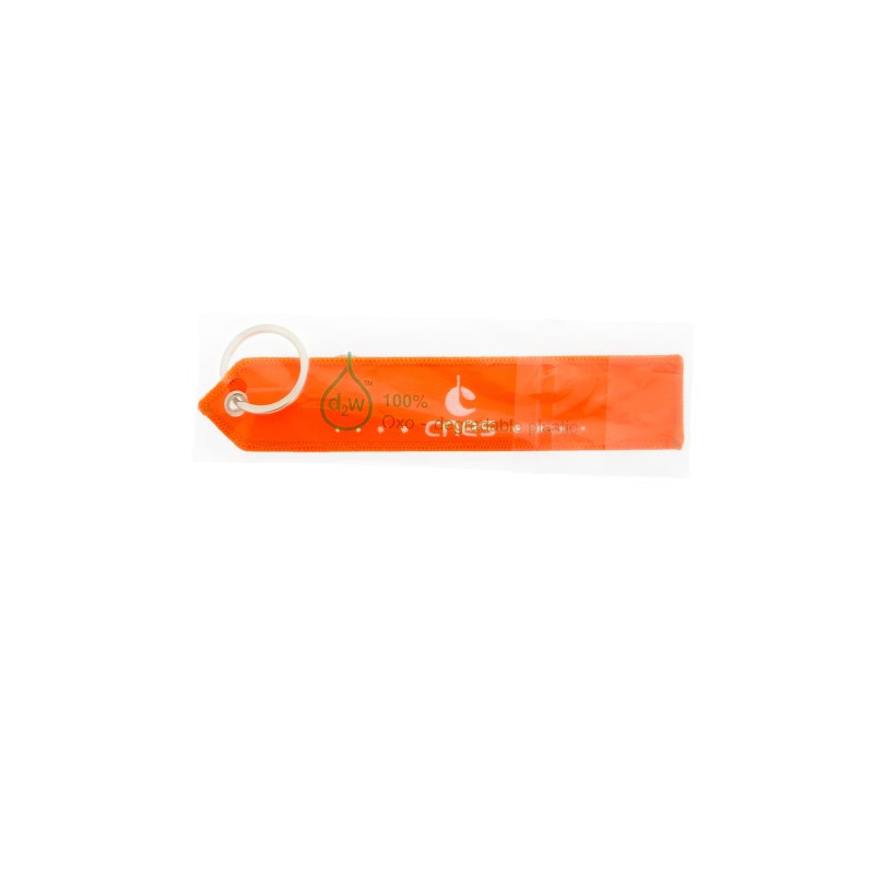 CNES "Remove Before Launch" key ring